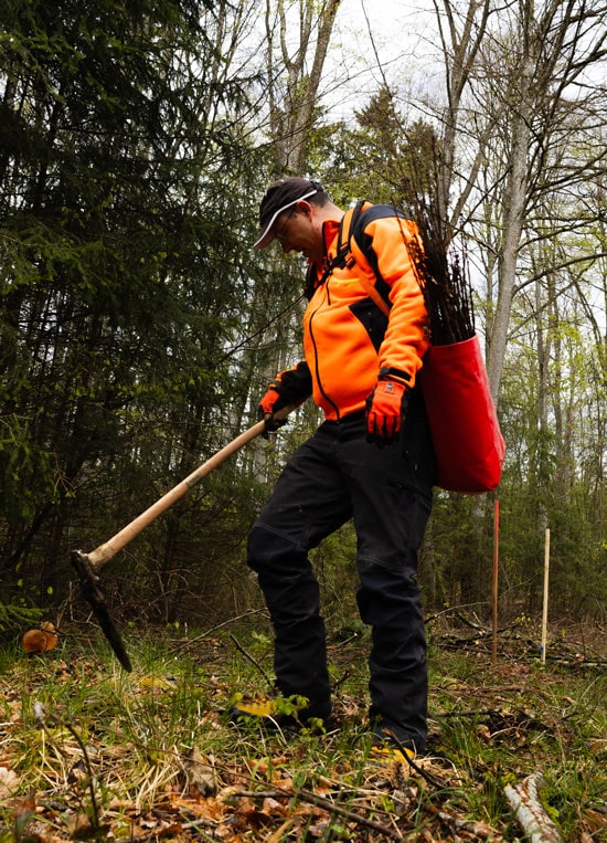 Forstwirt im Wald bei der Herbstpflanzung, trägt eine rote ergonomische Pflanztasche und nutzt eine Pflanzhaue für die Setzlinge.