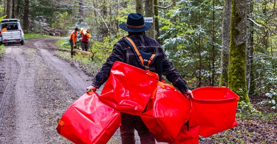 Arbeiter im Forst trägt mehrere rote Pflanztaschen-Sets auf einer Forststraße, während andere im Hintergrund bei der Herbstpflanzung tätig sind.