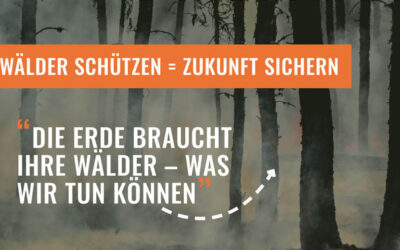 Internationales Waldschutzgesetz: Eine Notwendigkeit für Artenvielfalt und Klimaschutz